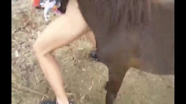 Real Hard Horse Dick Penetrates Her Welcoming Hole Deep